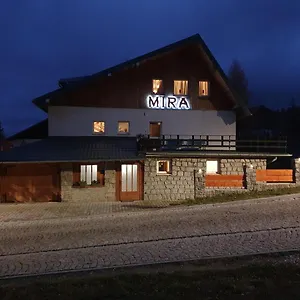 Mira Polen